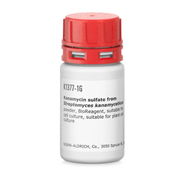 Sigma-Aldrich K1377 Kanamycin sulfate from Streptomyces kanamyceticus powder, BioReagent, suitable for cell culture, suitable for plant cell culture CAS No.: 25389-94-0 25 gr