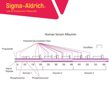 Sigma-Aldrich A1653 Albumin from human serum lyophilized powder, ≥96% (agarose gel electrophoresis) CAS No.: 70024-90-7 10 gr