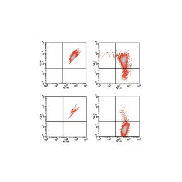 Sigma-Aldrich M34152 Mitochondrial Membrane Potential Kit sufficient for 100 fluorometric tests (flow cytometry) 1 KIT