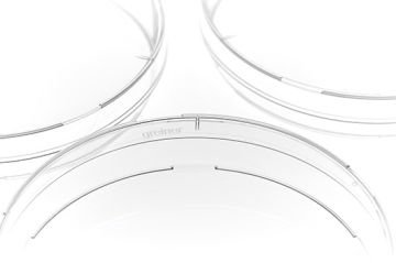 greiner BIO-ONE 632181 Petri Kabı PS Standart Delikli Steril Ø94 x 16 mm 480 Adet / Paket