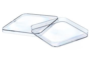 greiner BIO-ONE 688102 Petri Kabı Kare Tabanlı PS Delikli Non-Steril 120 x 120 x 17 mm 240 Adet / Paket