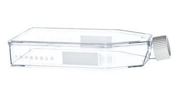greiner BIO-ONE 660190 Süspansiyon Kültür Şişesi CELLSTAR® PS Beyaz Vidalı Kapaklı Steril 550 ml 50 Adet / Paket
