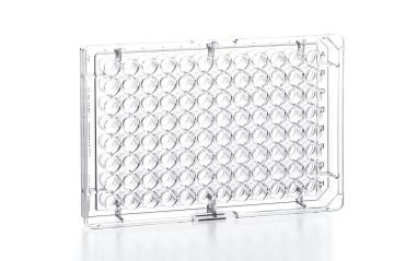 greiner BIO-ONE 655180 Hücre Kültürü için CELLCULTURE MICROPLATE, 96 WELL, PS, F-BOTTOM (CHIMNEY WELL), CLEAR, CELLSTAR®, TC, LID WITH CONDENSATION RINGS, STERILE, SINGLE PACKED 1 Adet / Paket