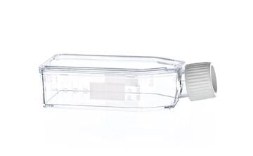 greiner BIO-ONE 690190 Süspansiyon Kültür Şişesi CELLSTAR® PS Beyaz Vidalı Kapaklı Steril 50 ml 200 Adet / Paket