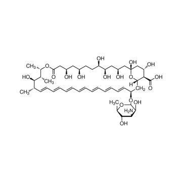 Sigma Aldrich A2942 Amphotericin B solution 250 μg/mL in deionized water, 0.1 μm filtered, BioReagent, suitable for cell culture 500 mL