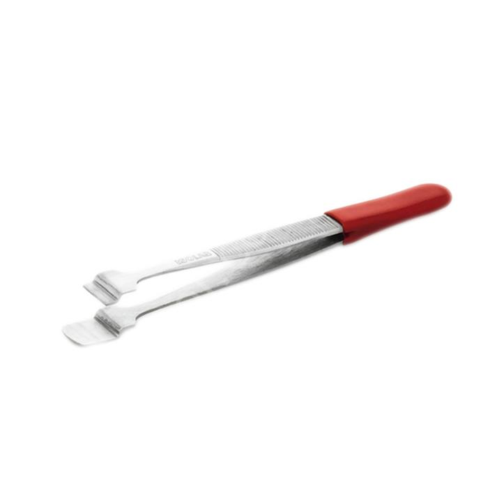 ISOLAB Pens - Metal - Filtre Kağıdı İçin - 105 mm