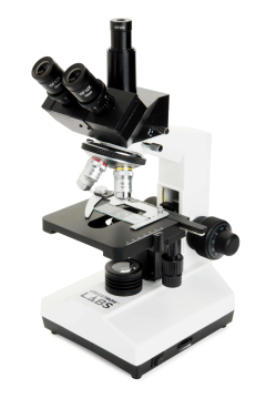 Celestron Labs 44132 CB2000C Trinoküler Bileşik Mikroskop 40x-2000x Büyütme Hazır Preparatlı Kamera Uyumlu