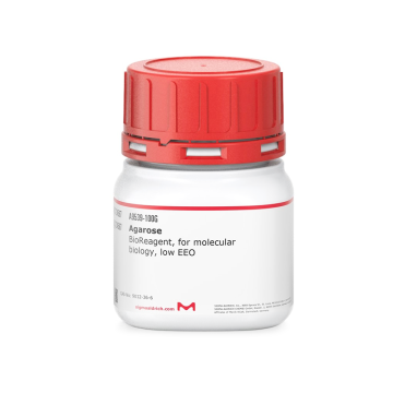 Sigma-Aldrich A9539 Agarose BioReagent, for molecular biology, low EEO 100 gr