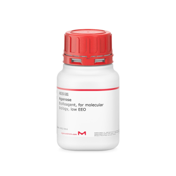 Sigma-Aldrich A9539 Agarose BioReagent, for molecular biology, low EEO 100 gr