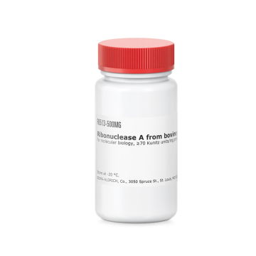 Sigma-Aldrich R6513 Ribonuclease A from bovine pancreas for molecular biology, ≥70 Kunitz units/mg protein, lyophilized 10 mg