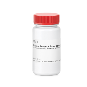 Sigma-Aldrich R6513 Ribonuclease A from bovine pancreas for molecular biology, ≥70 Kunitz units/mg protein, lyophilized 50 mg