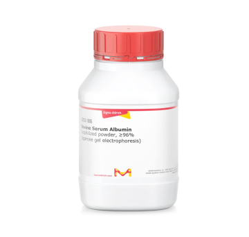 Sigma-Aldrich A2153 Bovine Serum Albumin lyophilized powder, ≥96% (agarose gel electrophoresis) 500 gr