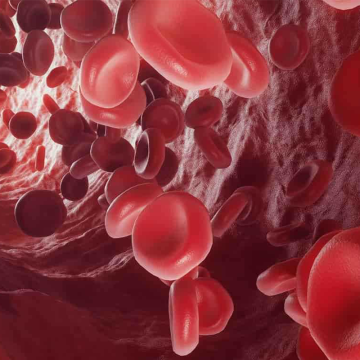 Across Bio 530580B Hemoglobin 500 gr