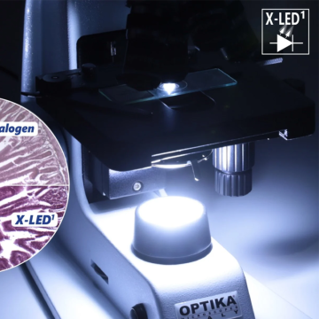 OPTIKA B-150D-MRPL Entegre Kameralı Dijital Monoküler Mikroskop 400X