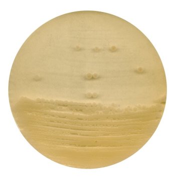 Merck 105272 Antibiotic Agar No. 1 For Microbiology  500 gr