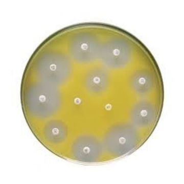 Across Bio 530100B Mueller Hinton Agar II 500 gr