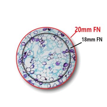 OPTIKA B-292LD1.50 Binoküler Floresan Araştırma Mikroskobu IOS LED 500X