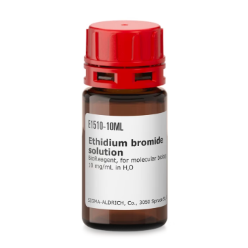Sigma-Aldrich E1510 Ethidium bromide solution BioReagent, for molecular biology, 10 mg/mL in H2O 10 mL