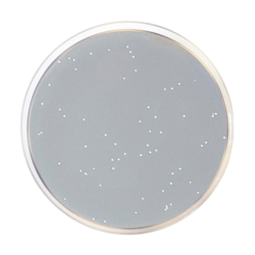 Across Bio 530550B R2A Agar EP/USP 500 gr