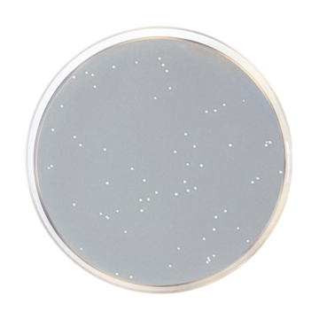 Across Bio 530550B R2A Agar EP/USP 500 gr