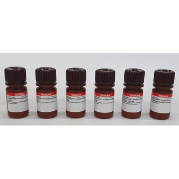 Sigma-Aldrich PPC202 ReadyShield® Protease and Phosphatase Inhibitor Cocktail non-freezing solution 1 mL