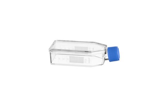 greiner BIO-ONE 690190 Hücre Kültürü Şişesi, 50 ml, 25 cm², PS, ADVANCED TC, Mavi Standart Vida Kapaklı, Şeffaf, Steril 200 Adet / Paket