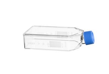 greiner BIO-ONE 658975 Hücre Kültürü Şişesi, 250 ml, 75 cm², PS, ADVANCED TC,  Mavi Filtre Vida Kapaklı, Şeffaf, Steril  120 Adet / Paket