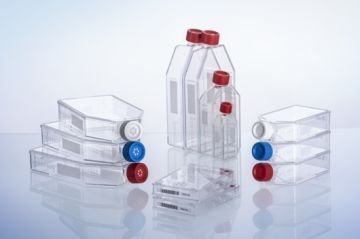 greiner BIO-ONE 660975 Hücre Kültürü Şişesi, 550 ml, 175 cm², PS, ADVANCED TC,  Mavi Filtre Vida Kapaklı, Düz Şişe Tasarımı, Şeffaf, Steril 50 Adet / Paket