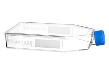 greiner BIO-ONE 660960 Hücre Kültürü Şişesi, 550 ml, 175 cm², PS, ADVANCED TC,  Mavi Standart Vida Kapaklı, Şeffaf, Düz Şişe Tasarımı, Steril 50 Adet / Paket