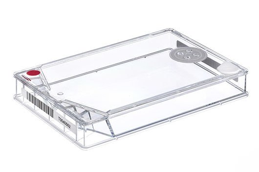 greiner BIO-ONE 779160 Autoflask, 110 ml, PS, Septum, Filtreli, CELLSTAR®, Santrifügasyon Cepli, Renk Kodu Kırmızı, TC, Steril 100 Adet / Paket