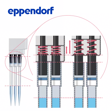 Eppendorf Reference® 2 Otomatik Pipet SET1  0.5 – 10 µL, 10 – 100 µL, 100 – 1.000 µL