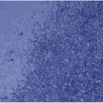 Sigma-Aldrich ECM550 QCM ECMatrix Cell Invasion Assay, 24-well (8 µm), colorimetric 1 plate in 12 wells
