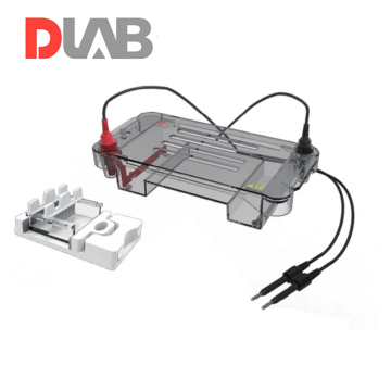 DLAB DL-SUB01 Yatay Elektroforez Tankı
