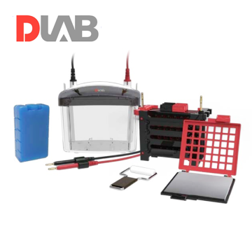 DLAB DL-ZY04 Transfer Elektroforez Tankı