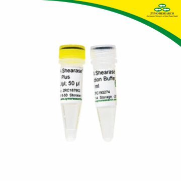 ZYMO RESEARCH E2018 dsDNA Shearase Plus 500 U