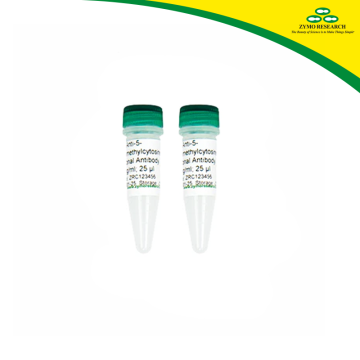 ZYMO RESEARCH A4001-50 Anti-5-Hydroxymethylcytosine Polyclonal Antibody 50 µg