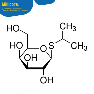 Merck 420322 IPTG, Dioxane-Free, High Purity - CAS 367-93-1 - Calbiochem 5 gr