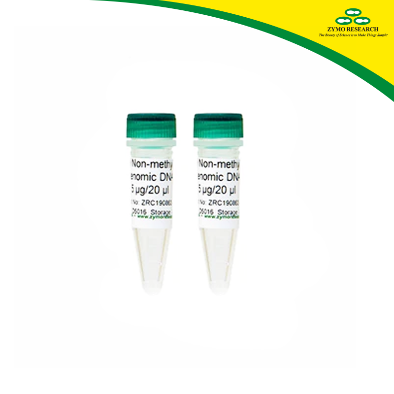 ZYMO RESEARCH D5016 E. coli Non-Methylated Genomic DNA 5 µg/20 µl