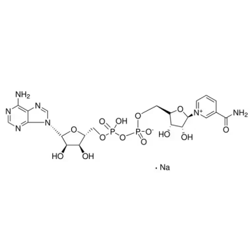 Sigma Aldrich N0632 β-Nicotinamide adenine dinucleotide sodium salt 25 gr