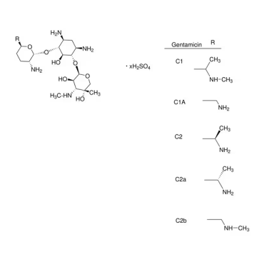 AFG Bioscience 158698 Gentamicin sulfate 5 gr