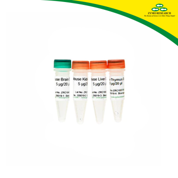 ZYMO RESEARCH D5019-3 Mouse Liver DNA 5 µg