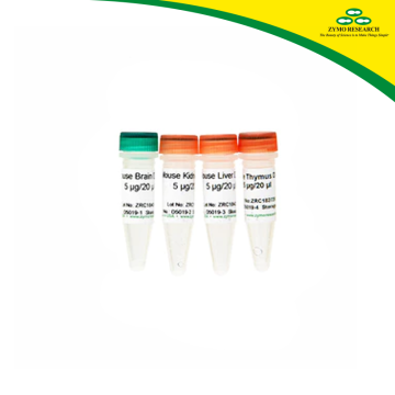 ZYMO RESEARCH D5019 Mouse 5hmC & 5mC DNA Set 5 µg/20 µl