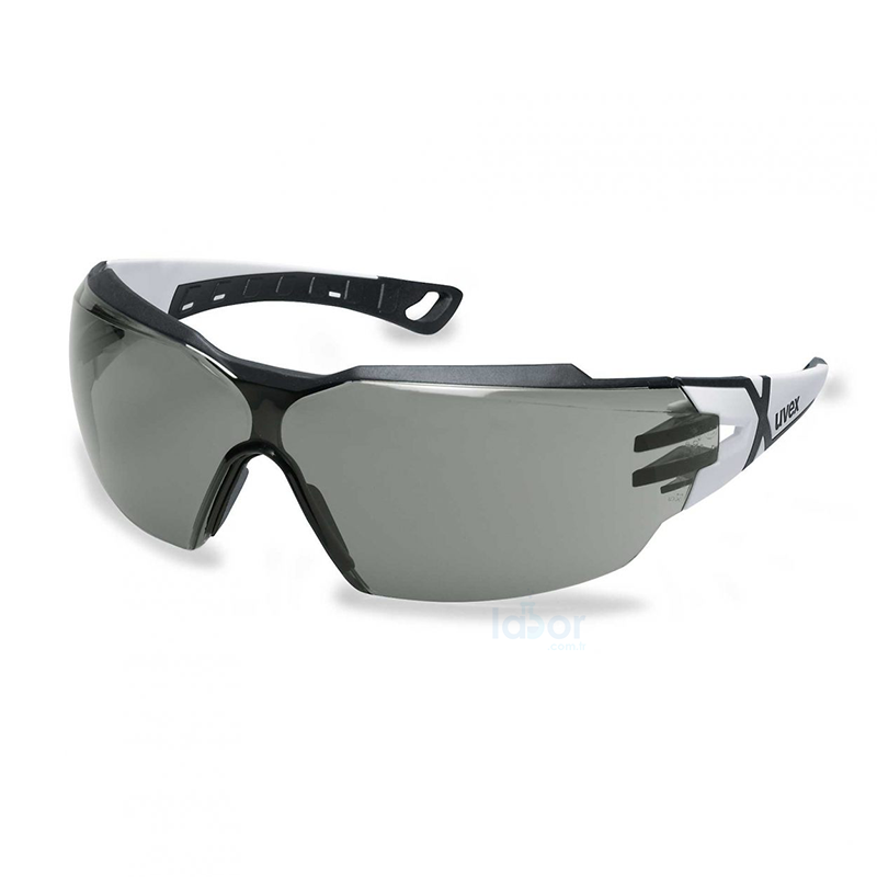 uvex 9198237 pheos cx2 Spectacles Koruyucu Gözlük Kimyasallara Dirençli, Buğulanmaz, Gün Işığı Filtreli