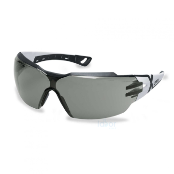 uvex 9198237 pheos cx2 Spectacles Koruyucu Gözlük Kimyasallara Dirençli, Buğulanmaz, Gün Işığı Filtreli