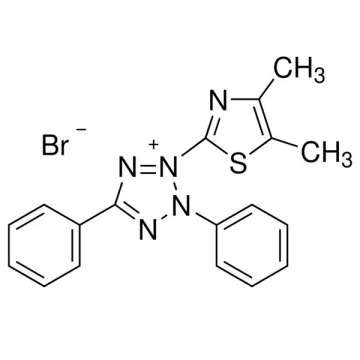 AFG Bioscience 223751 Thiazolyl Blue Tetrazolium Bromide (MTT) 1 gr
