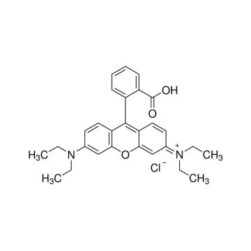 Sigma-Aldrich 83689 Rhodamine B for fluorescence 1 gr