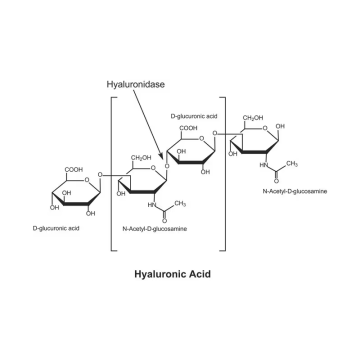 Sigma-Aldrich H3506 Hyaluronidase from bovine testes Type I-S, lyophilized powder, 400-1000 units/mg solid 100 mg