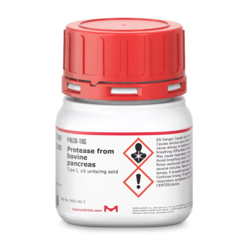 Sigma-Aldrich P4630 Protease from bovine pancreas Type I, ≥5 units/mg solid 5 gr