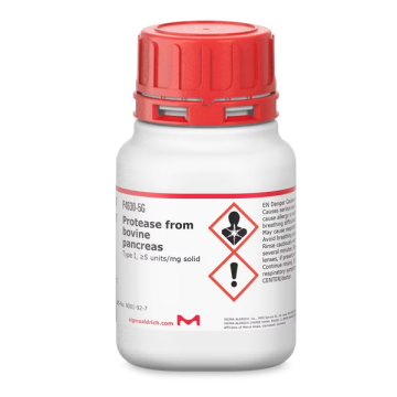 Sigma-Aldrich P4630 Protease from bovine pancreas Type I, ≥5 units/mg solid 5 gr