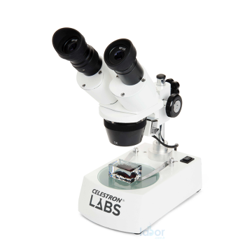 CELESTRON 44208 Lab S10-60 Stereo Mikroskop 10X - 20X
